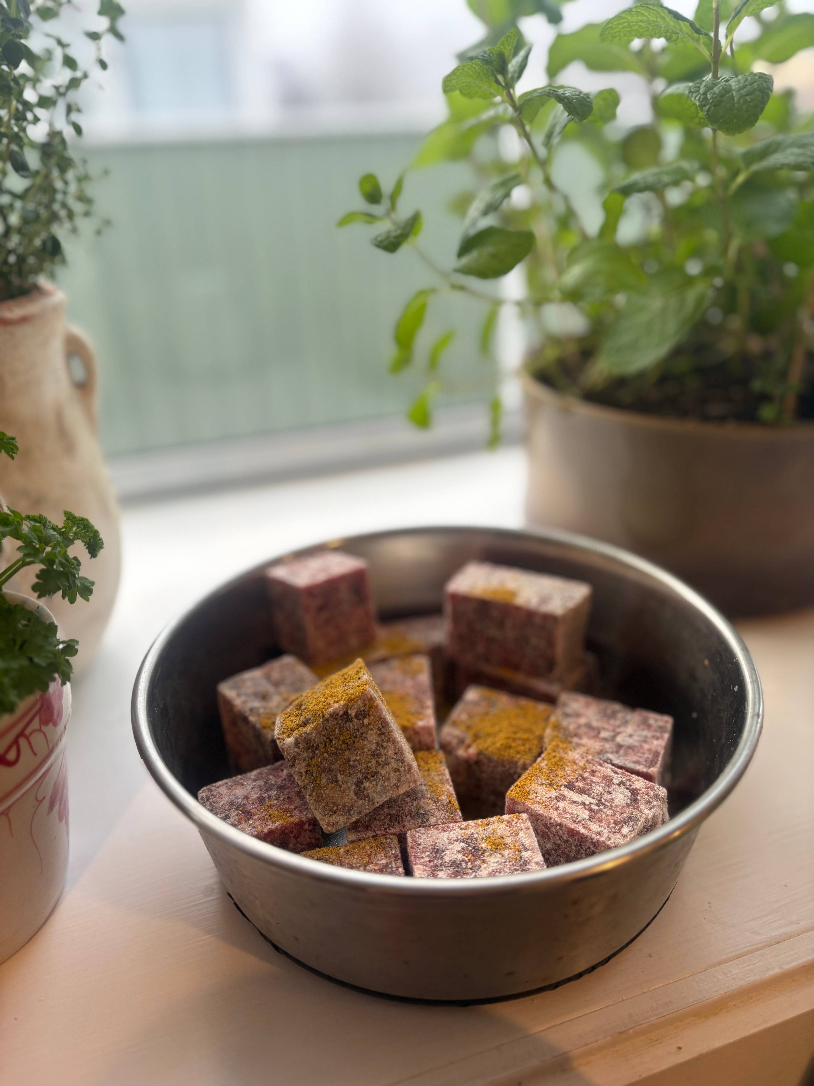 Bowl of tea bags with plants in the background
